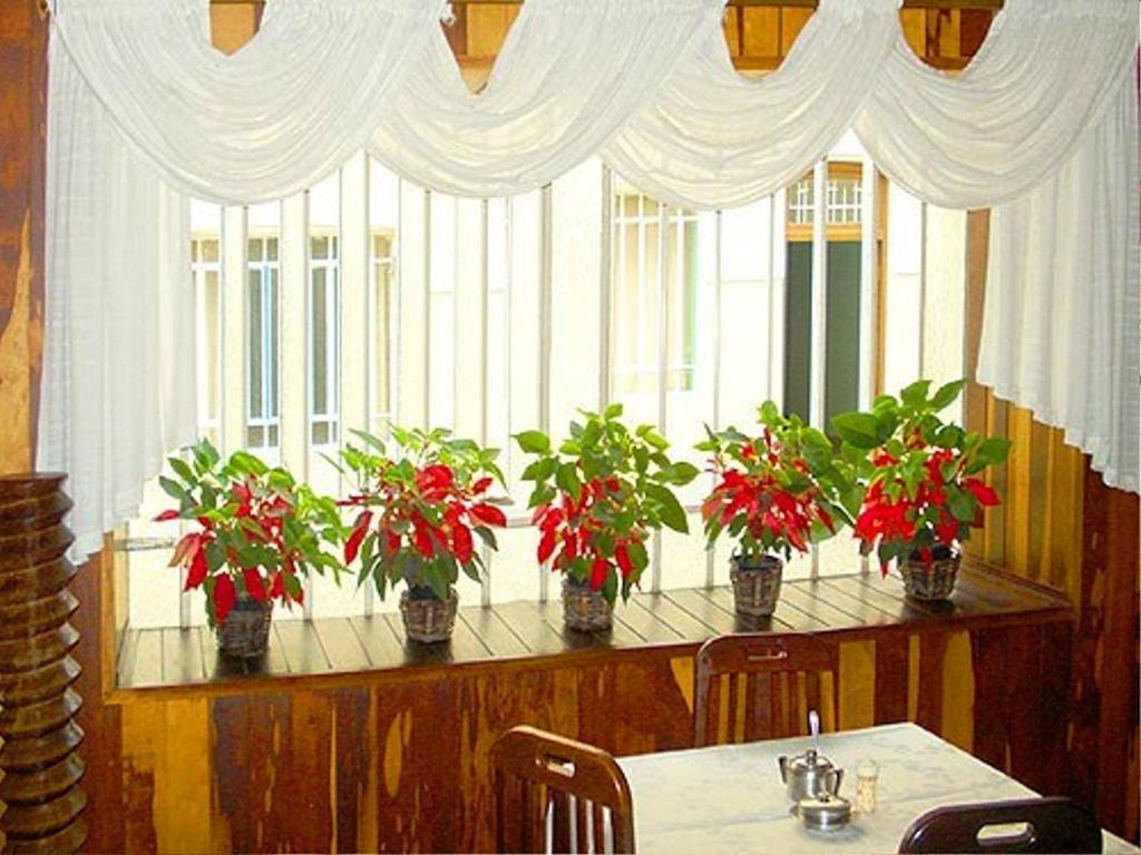 Kontiki Hotel Сан-Франсіску-ду-Сул Екстер'єр фото
